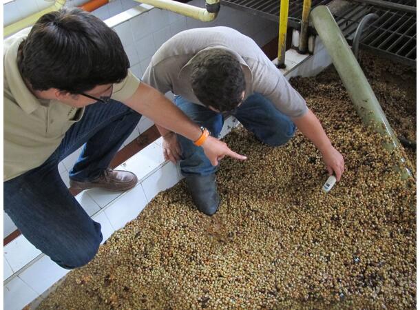 Carlos' de Santa Bárbara 250g Presskannemalt