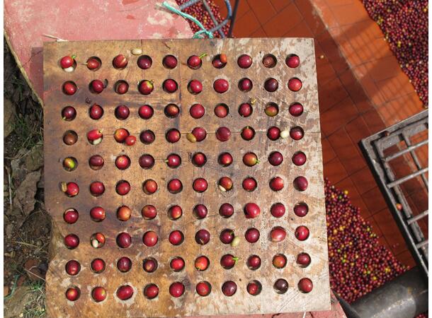 Carlos' de Santa Bárbara 250g Presskannemalt