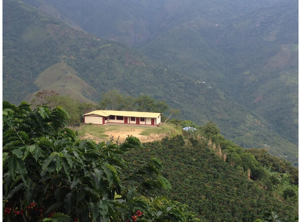 Carlos' de Santa Bárbara 250g Presskannemalt