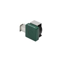 EGG Genius Temperature Control Temperaturkontroll for BGE