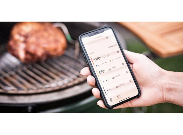 EGG Genius Temperature Control