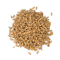 Château Pilsner 2RS Malt 1 kg hel 4-7 EBC - Castle Malting