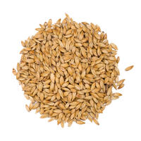 Carafa Special III Malt 250g Knust 1400 EBC - Weyermann