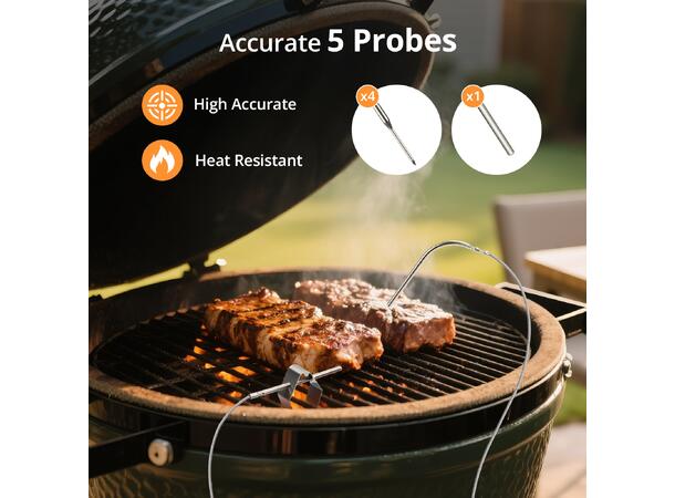 INKBIRD Smoker Controller